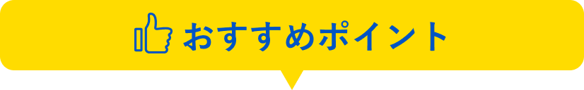 おすすめポイント