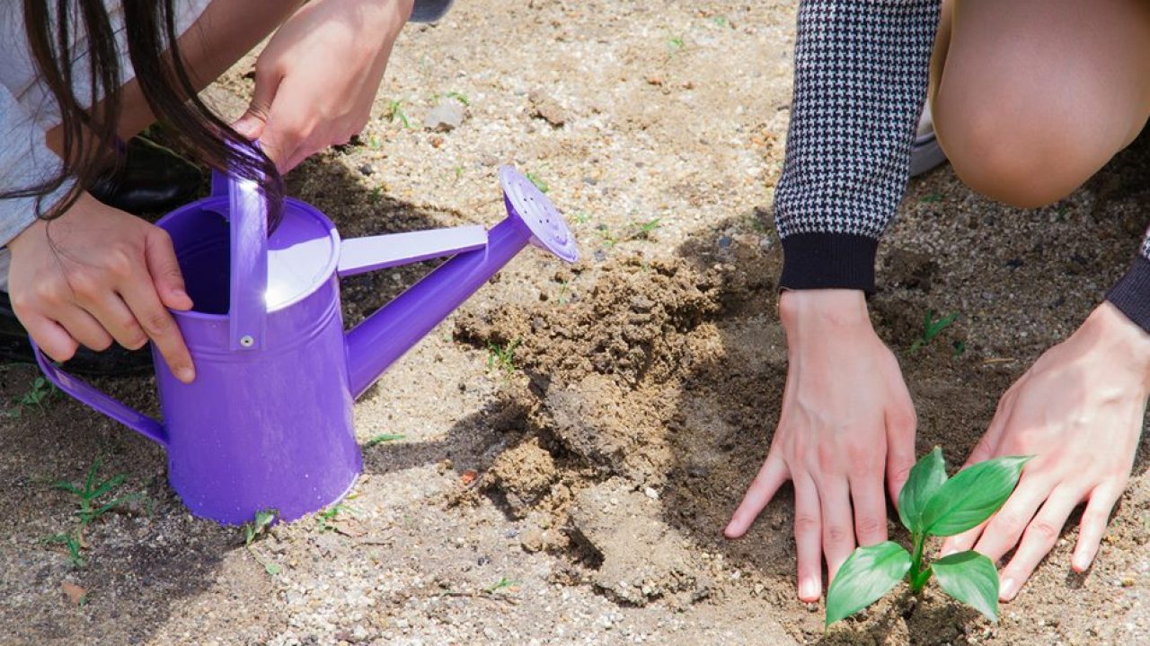 Csrとは何を意味する 企業のcsr活動のメリットや活動事例をわかりやすく解説 ビジネスマナー ビジネス用語 フレッシャーズ マイナビ 学生の窓口