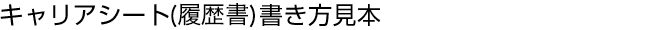 キャリアシート(履歴書)書き方見本