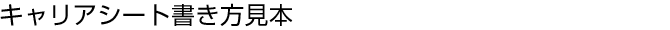 キャリアシート書き方見本