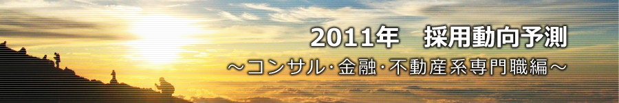 転職マーケットトピックス　コンサルタント･金融･不動産系専門職（2011年1月号）編