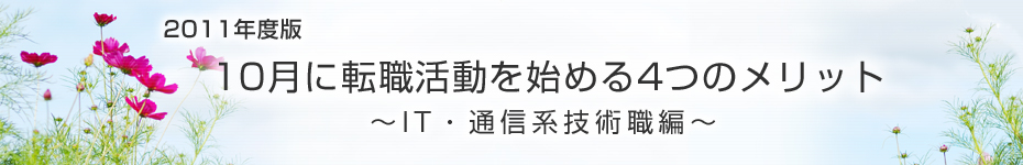 転職マーケットトピックス　IT･通信系技術職（2011年10月：2011年度版）編