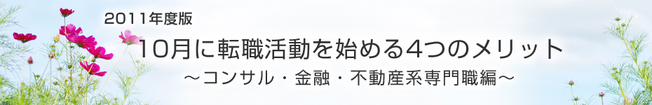 転職マーケットトピックス　コンサルタント･金融･不動産系専門職（2011年10月：2011年度版）編